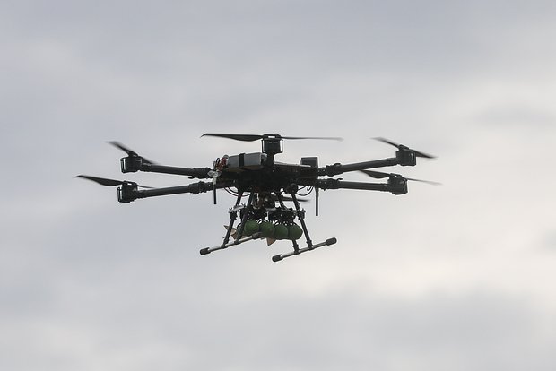 Вводная картинка