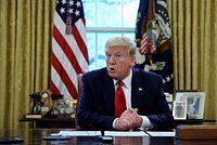 «У него ничего нет, пока я это не одобрю». Трамп анонсировал переговоры с Зеленским и понадеялся на встречу с Путиным 