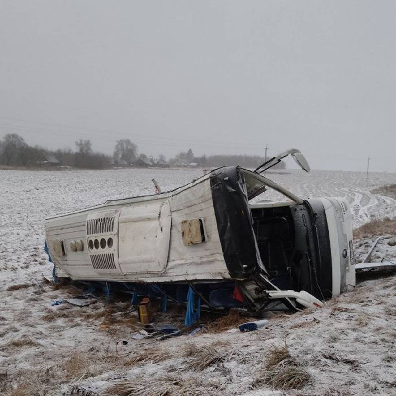 Автобус &laquo;Москва-Брест&raquo; разбился в Белоруссии