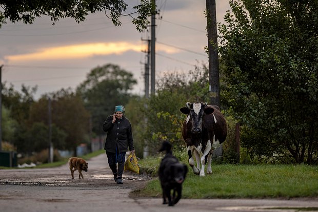 Вводная картинка