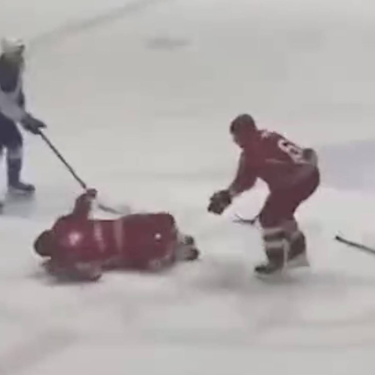 Лукашенко сбили с ног во время хоккейного матча