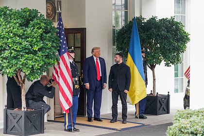 Раскрыт план переговоров президентов США и Украины