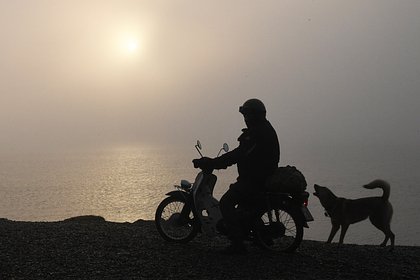 В России взлетели продажи одного вида транспортных средств