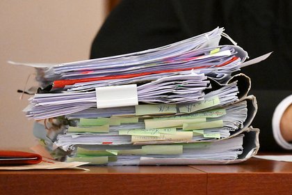 Дело Долиной войдет в юридические учебники