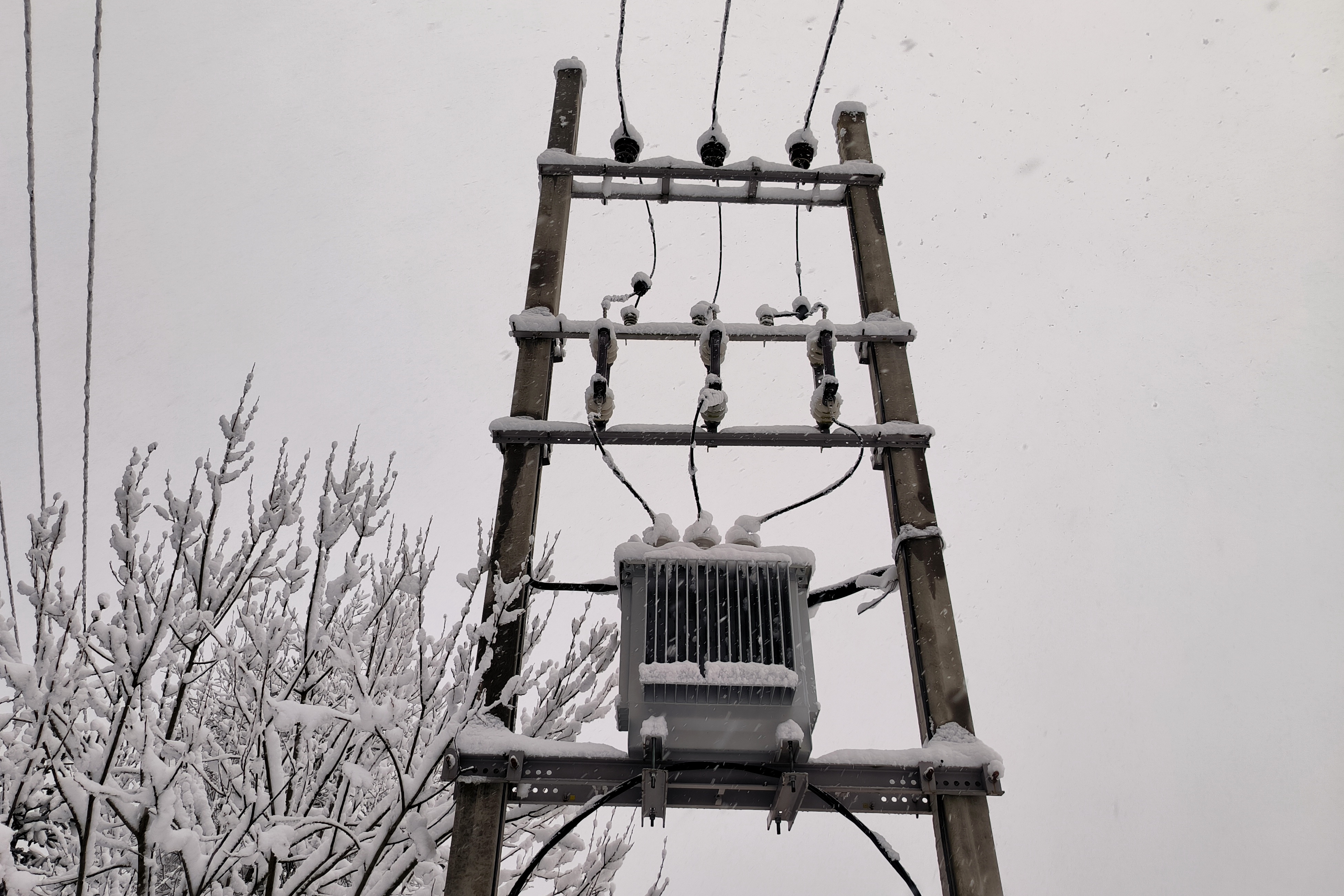 �������&nbsp; �������� ��� ����� ��-�� ������