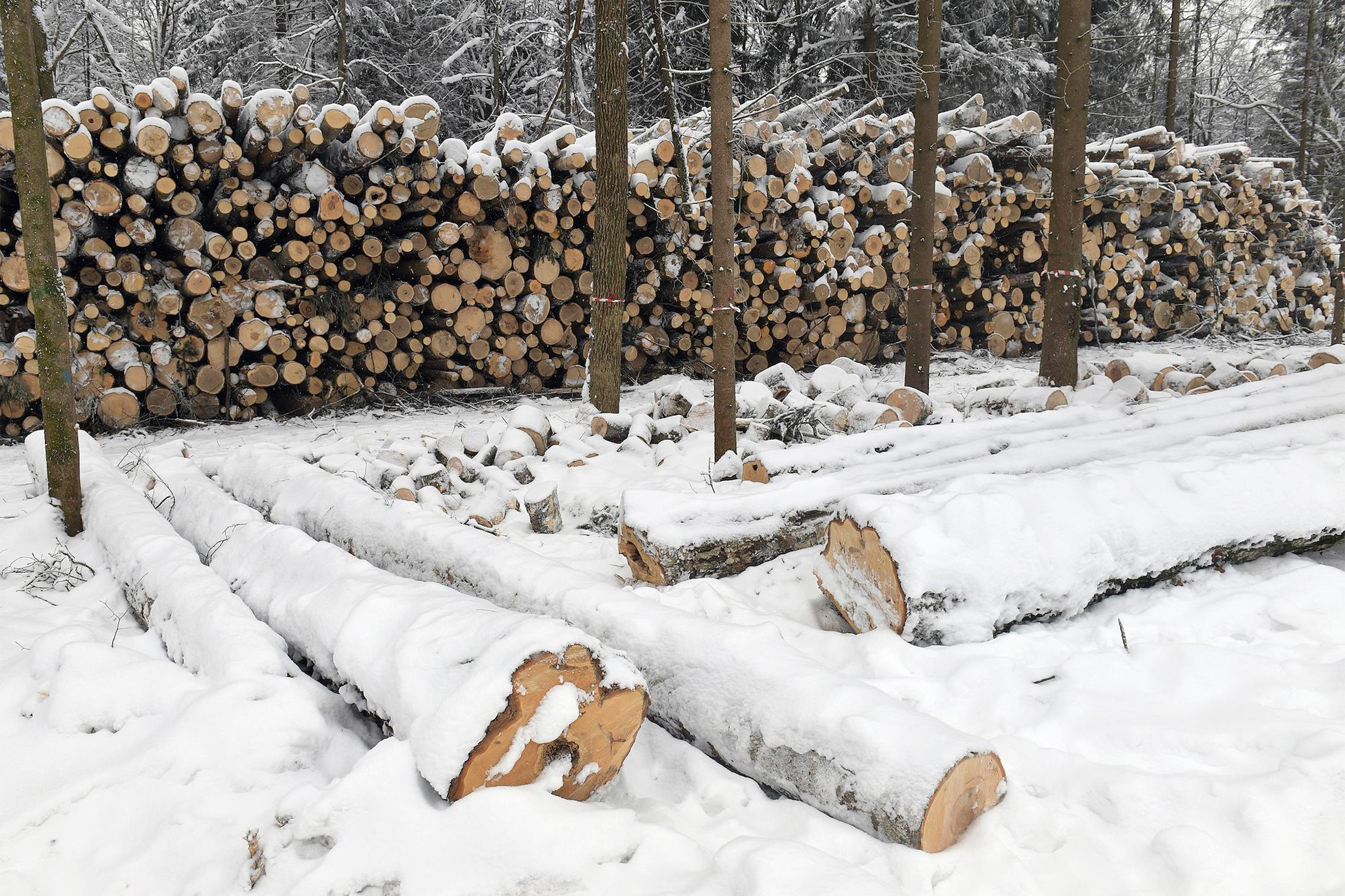 �&nbsp; ���������� ������� ���� ������� �������� ������� ����� �� ������� ����