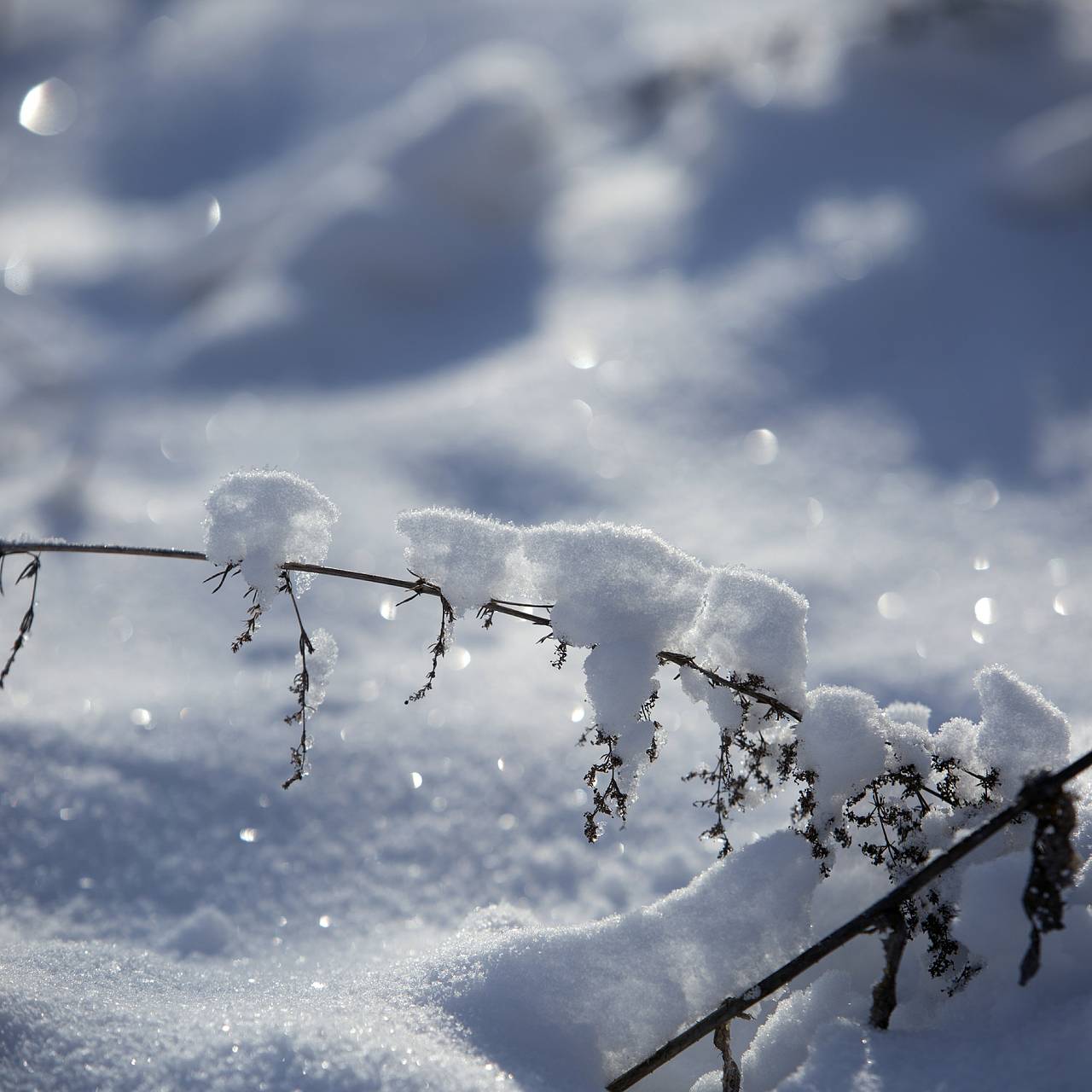 Синоптик предупредил россиян о 40-градусных морозах в новогоднюю ночь