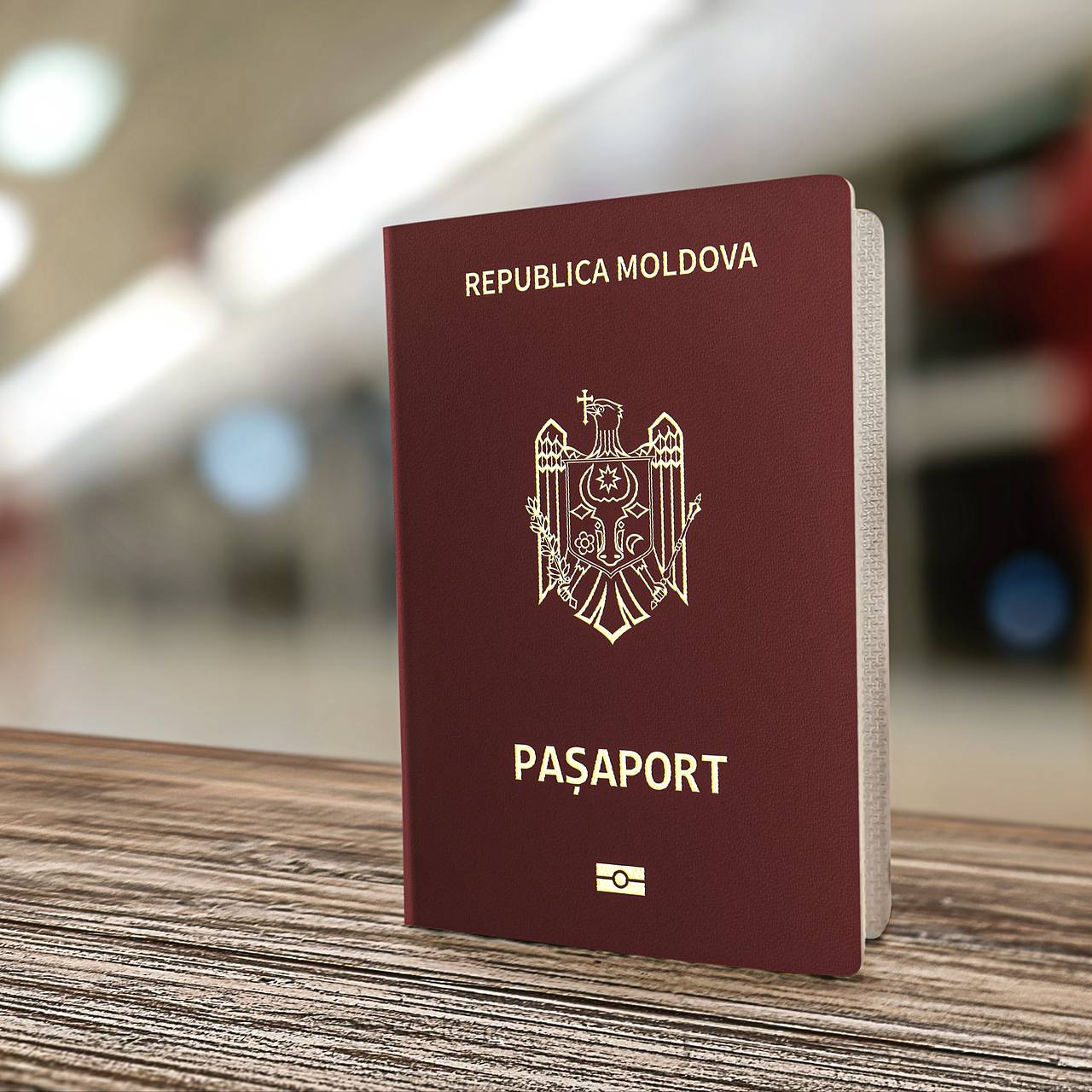 Президент Молдавии предоставила гражданство сыну солиста группы &laquo;Би-2&raquo;