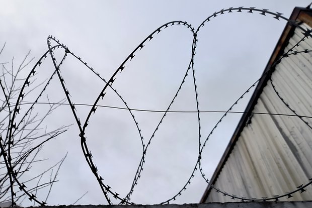 Вводная картинка