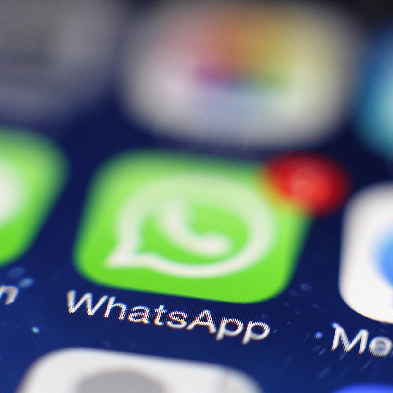 В Госдуме расссказали о новом виде мошенничества в WhatsApp