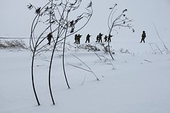 США заявили о почти готовом мирном соглашении по Украине США заявили о почти готовом мирном соглашении по Украине