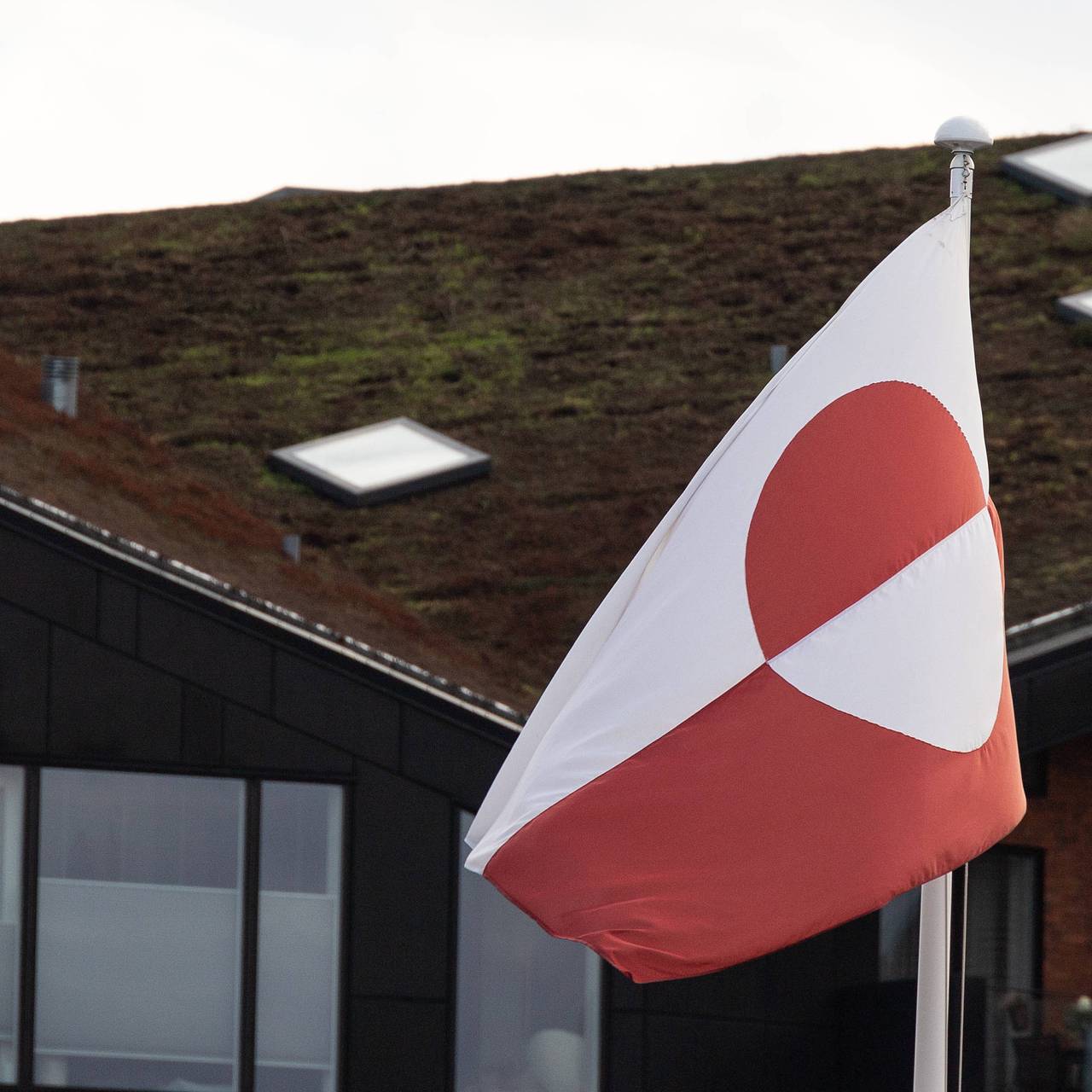 В США раскрыли план Трампа по захвату Гренландии