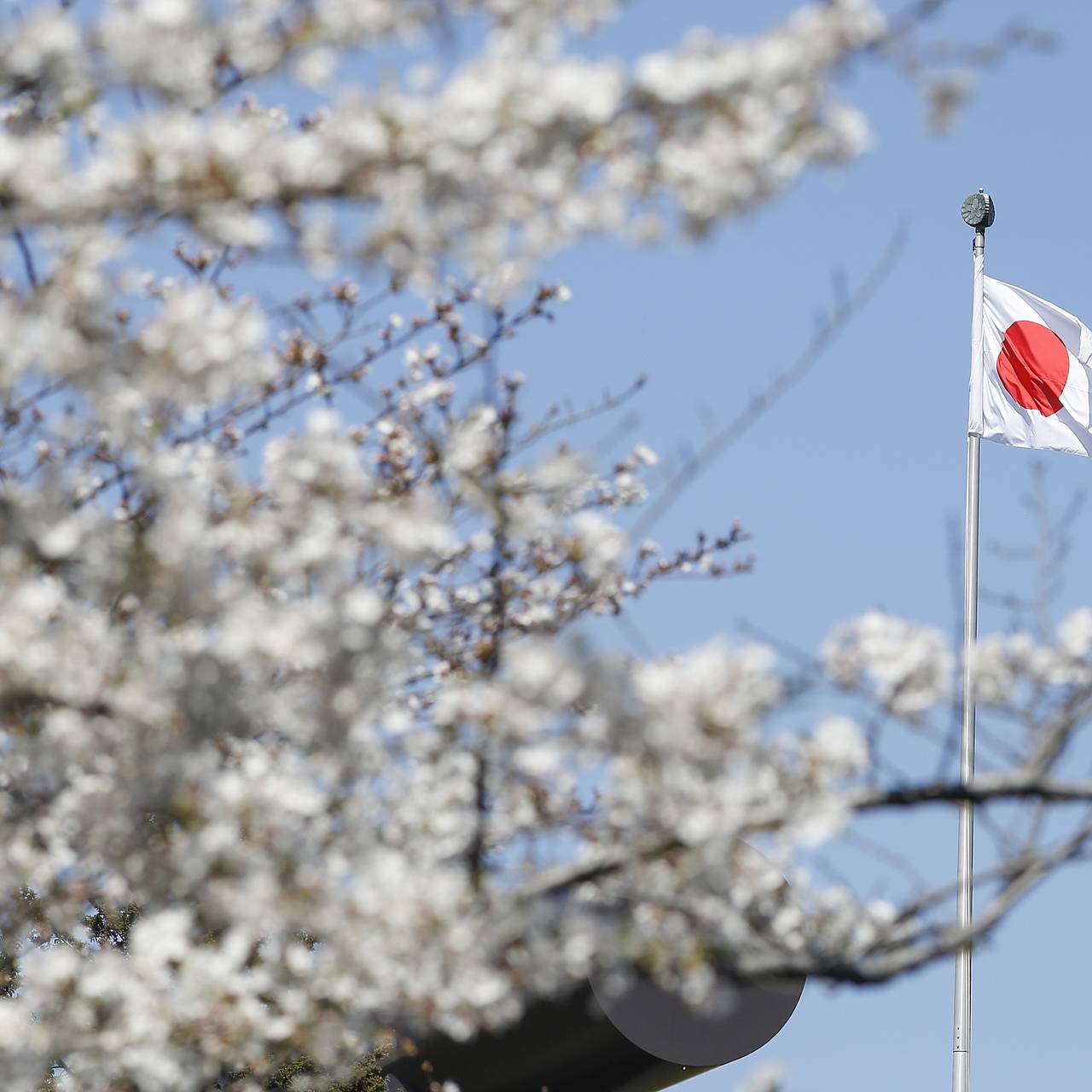 В Китае рассказали о &laquo;синхронном ударе&raquo; Москвы и Пекина по Японии