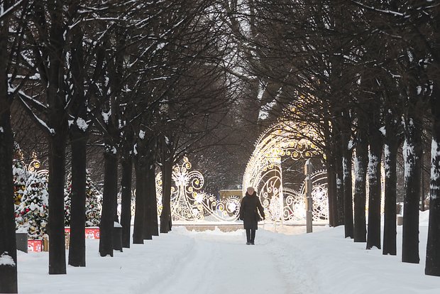 Вводная картинка