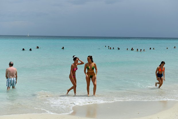 Вводная картинка