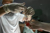 Массовая гибель младенцев в роддоме потрясла Россию. Что не так с официальными причинами смерти и как скрывали трагедию?