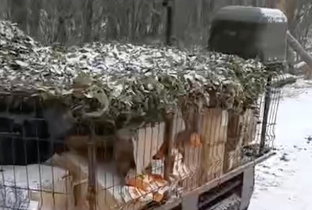 Вводная картинка