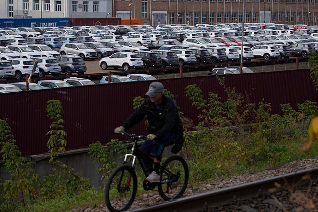 Вводная картинка