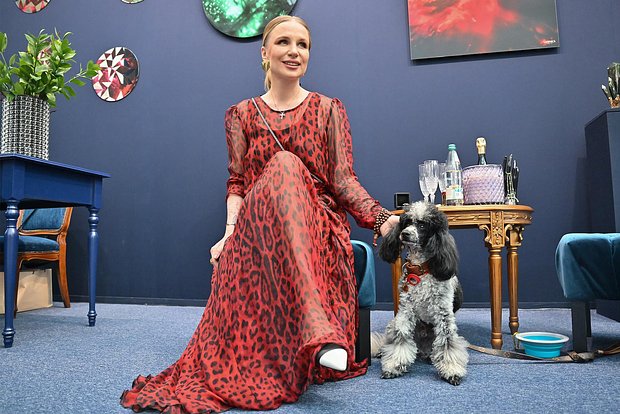 Вводная картинка