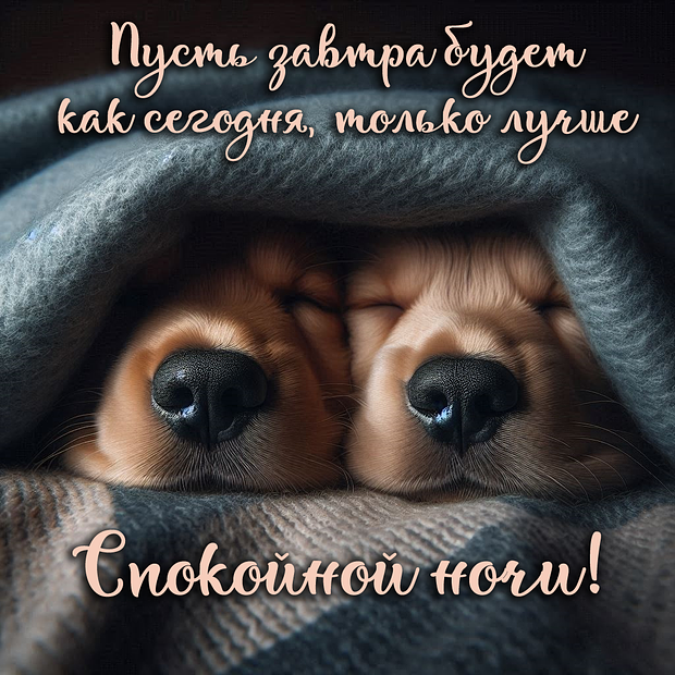 Красивая открытка с пожеланием спокойной ночи
