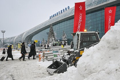 Аэропорт Домодедово решили продать на &laquo;Авито&raquo;