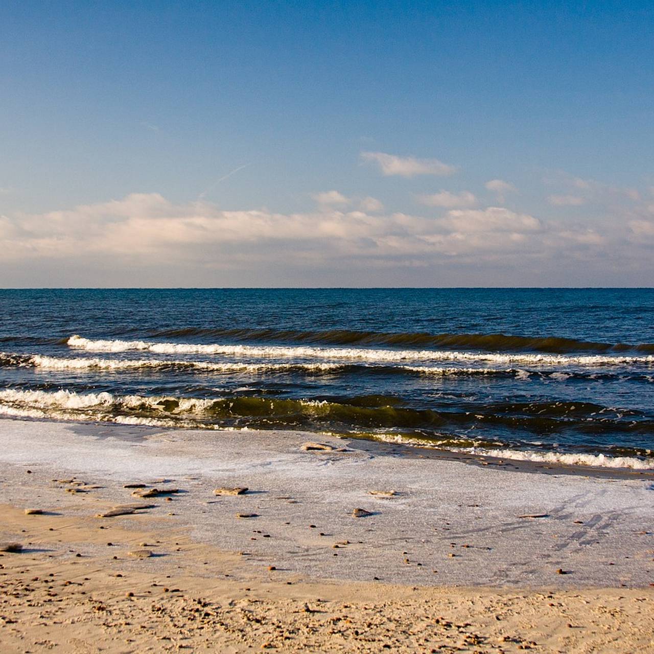 Стало известно о задержании директора нацпарка &laquo;Куршская коса&raquo;