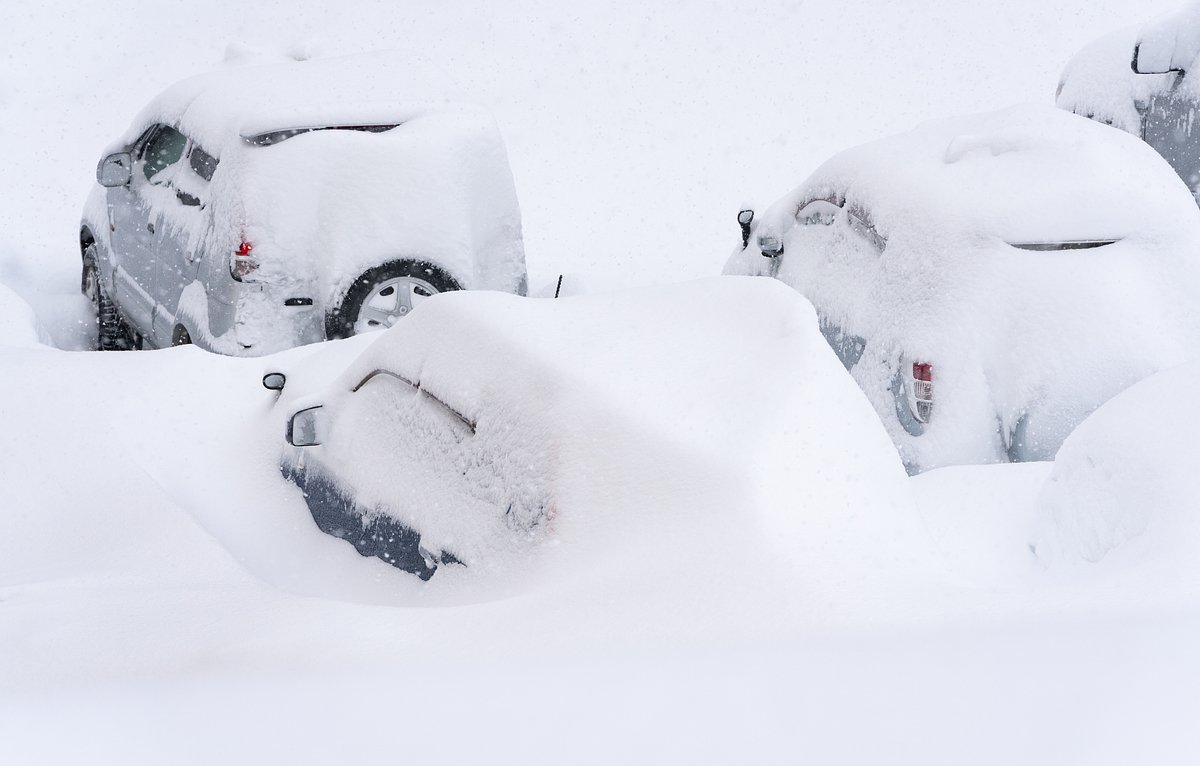 Занесенные снегом автомобили в Петропавловске-Камчатском