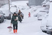 Камчатка переживает снежный апокалипсис. В центре Петропавловска-Камчатского сошла лавина. Что известно о стихии и ее жертвах? 