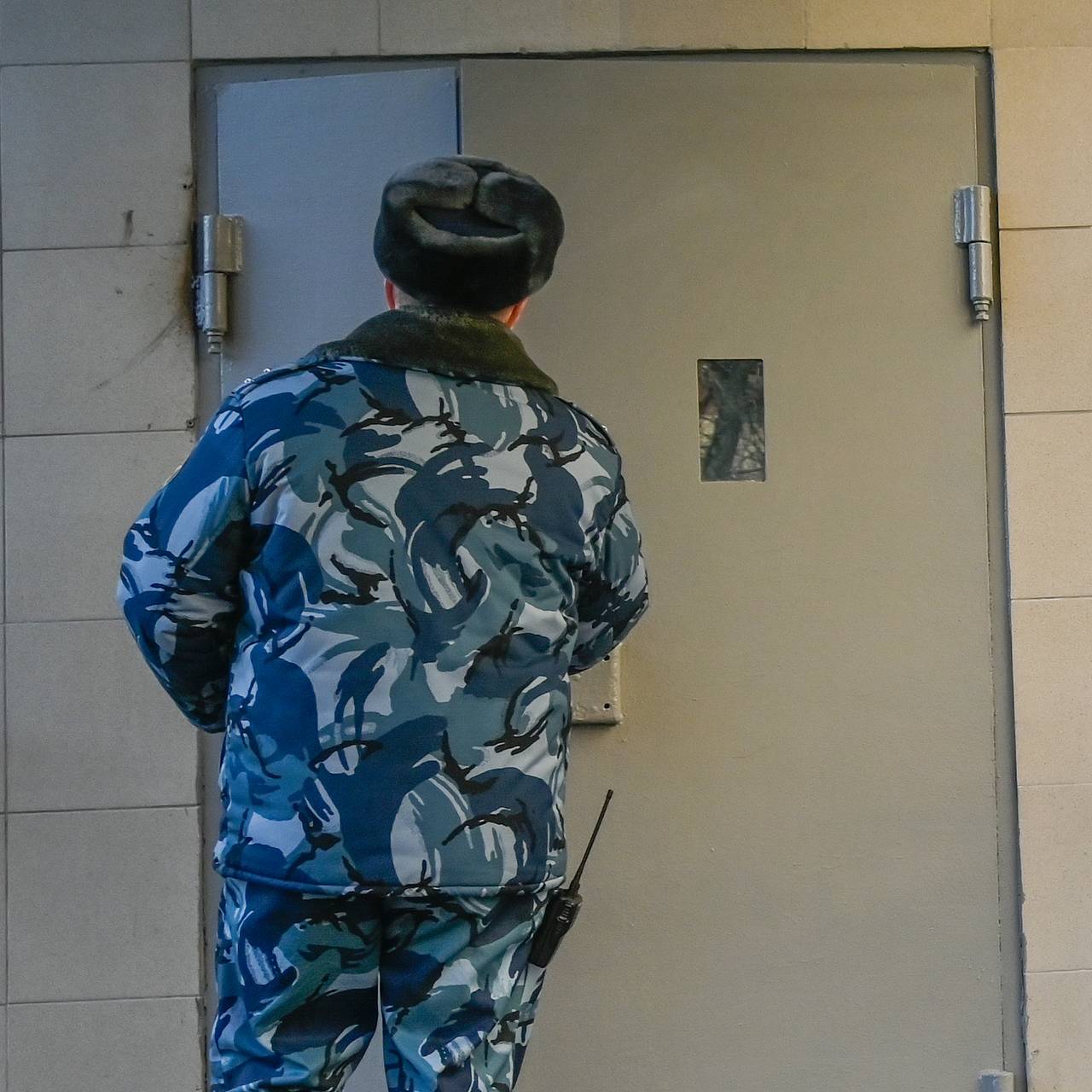 Кота отправили в СИЗО из-за найденного в российском городе мужчины с пакетом на голове