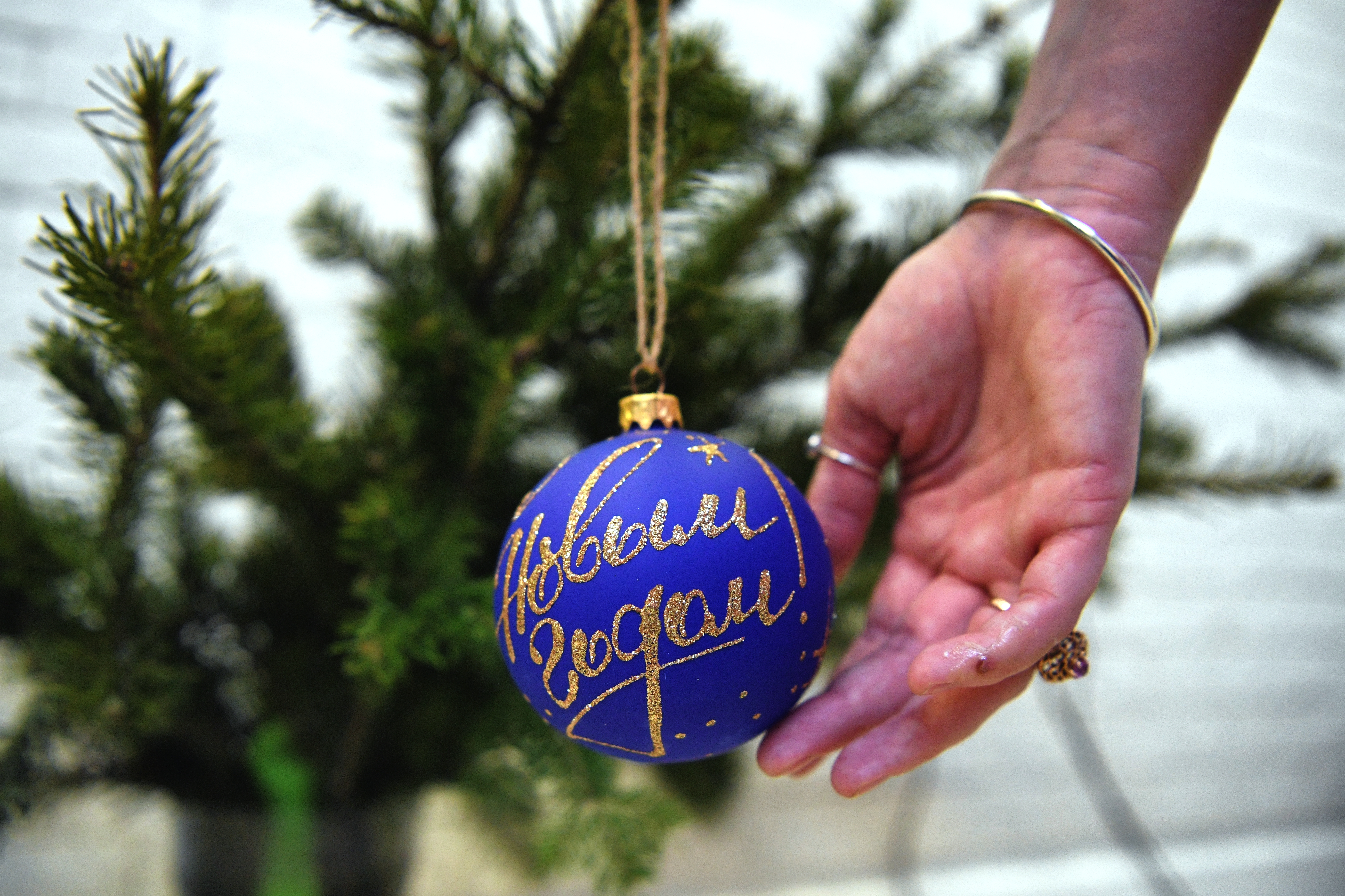 �������&nbsp; ������������ �� ��������� ������������ � �������� ����