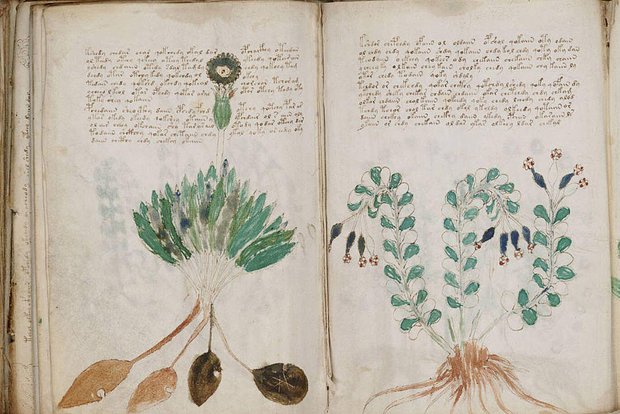 Вводная картинка