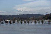 У берегов США произошло мощное землетрясение 