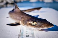 Архивное фото