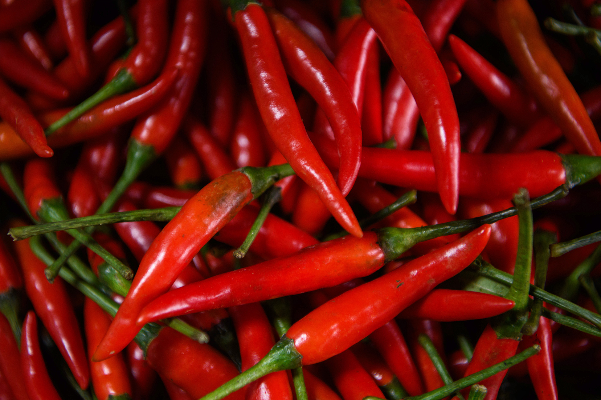 ���������&nbsp; ������� ���������� �������� �������