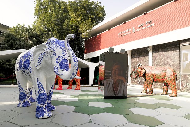 Вводная картинка