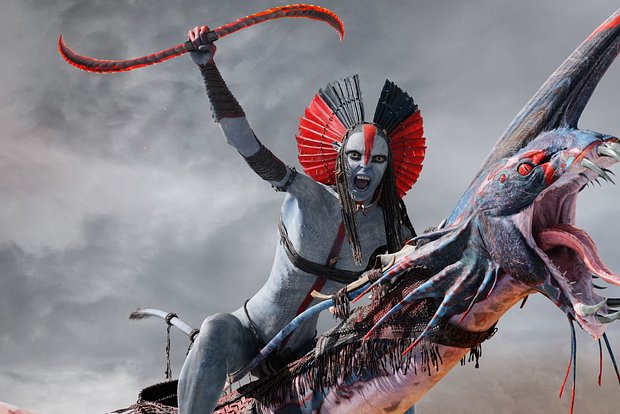 Вводная картинка