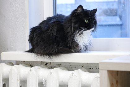 Губернатор российского региона назвал причину отсутствия тепла в 280 МКД