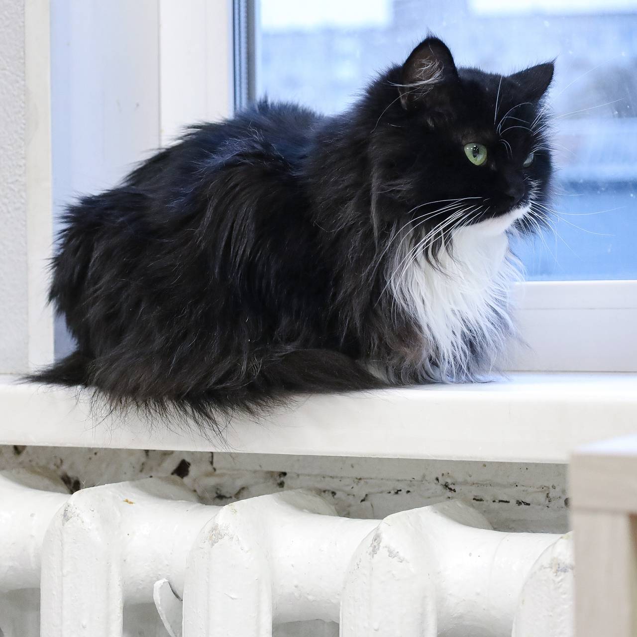 Губернатор российского региона назвал причину отсутствия тепла в 280 МКД