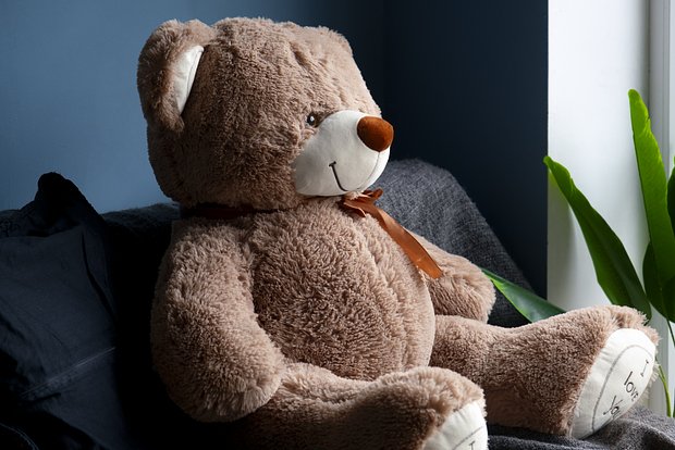 Вводная картинка