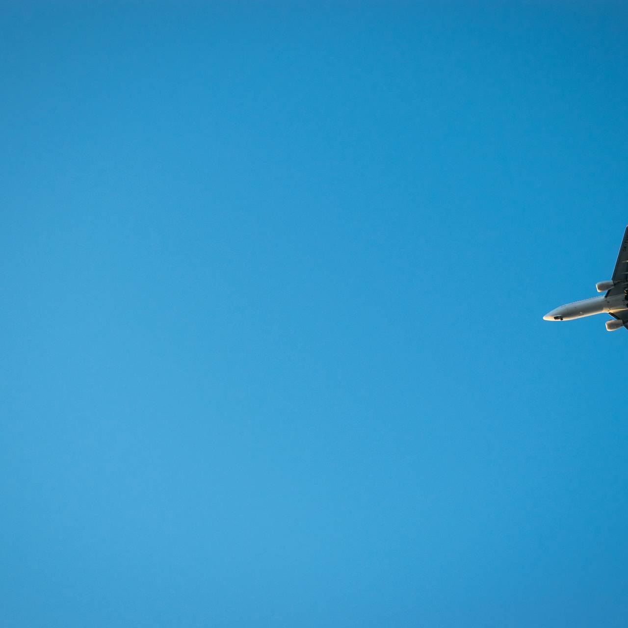 Раскрыты сроки запуска прямых рейсов в одну курортную страну Азии для россиян