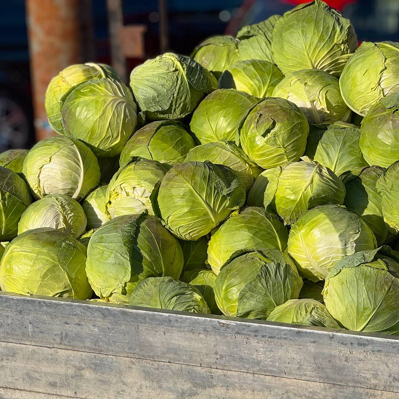 Экстремистам позволят торговать овощами со своего участка