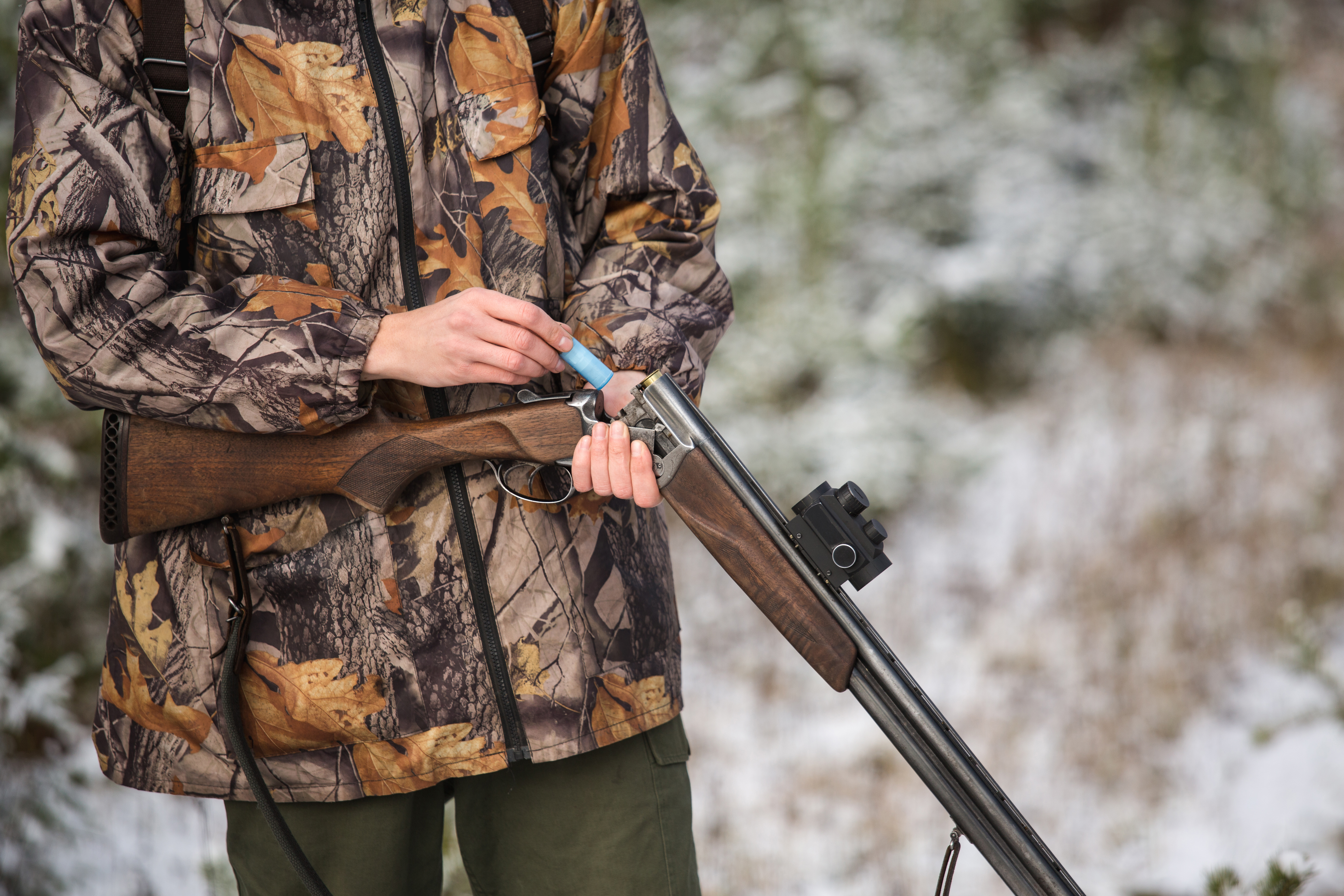 ����������&nbsp; ���������� ��� ���������� ������ �� �����