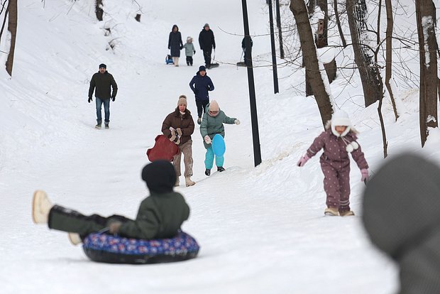 Вводная картинка