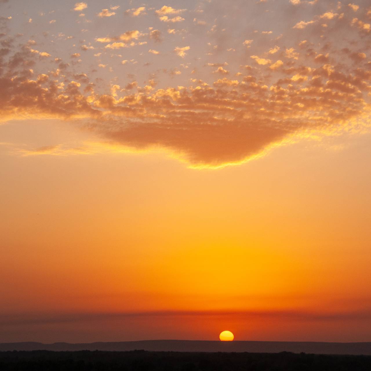 На Солнце заметили опасные и мощные выбросы