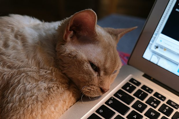 Вводная картинка