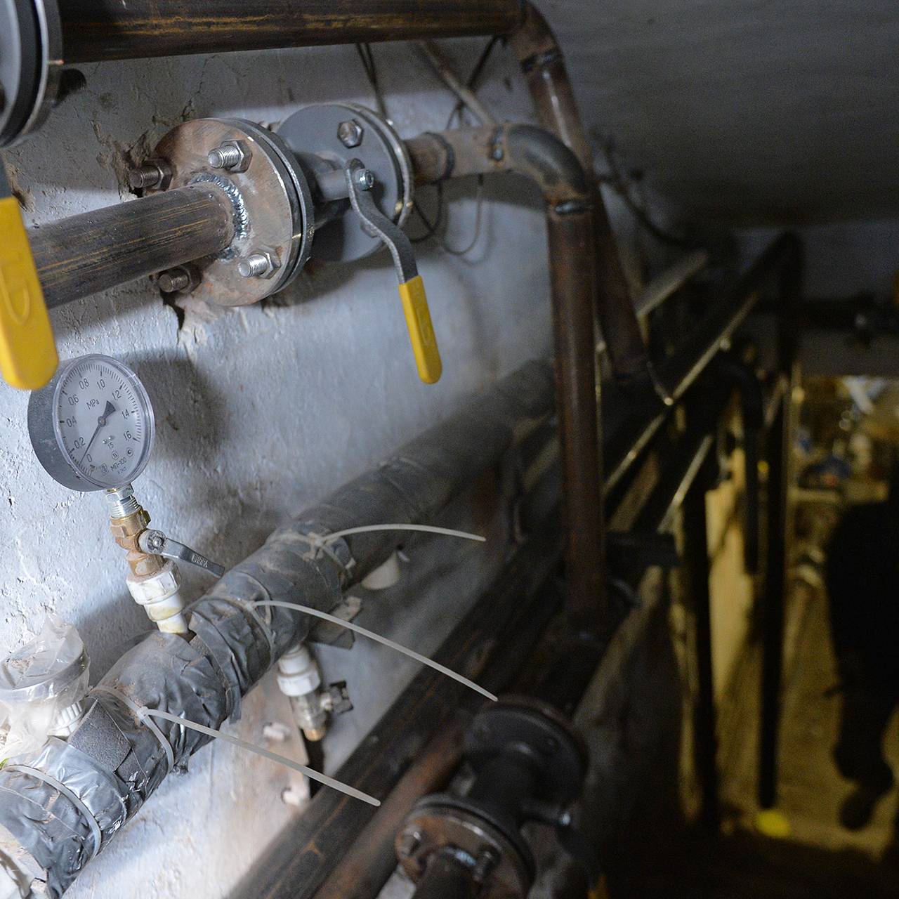 Фото: Павел Лисицын / РИА Новости