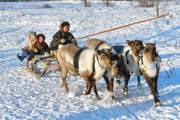 Вводная картинка
