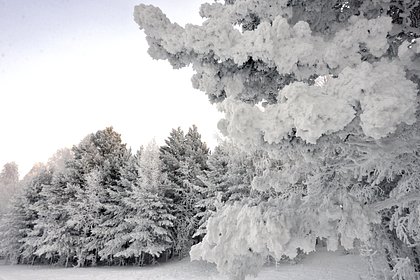 Сибиряки переночевали в палатке в минус 43