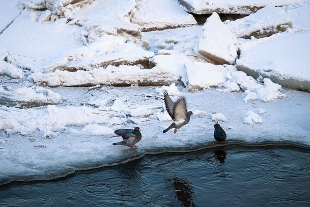 Вводная картинка