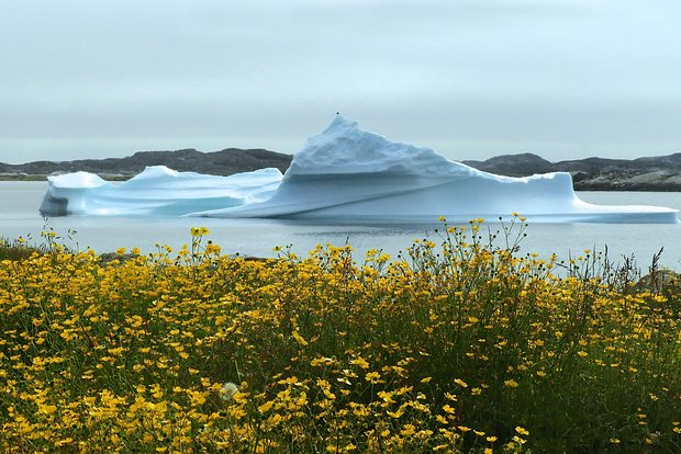 �������&nbsp; ������ ������ �� ������ ������ � �������